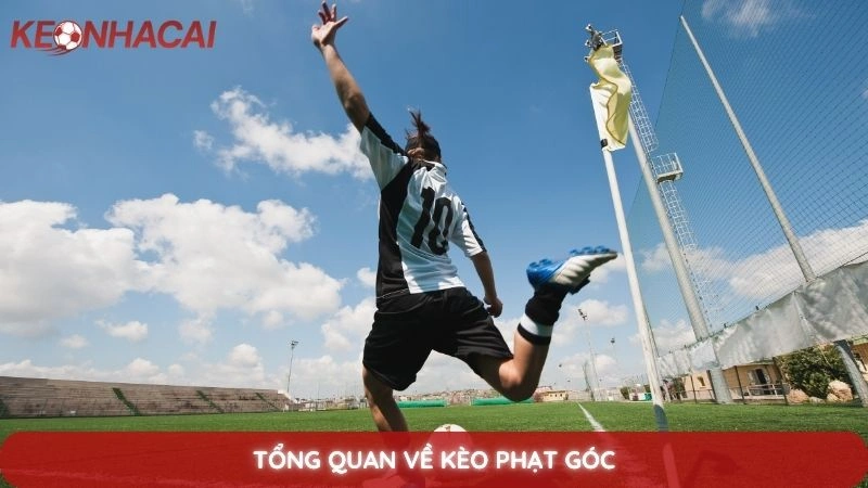 Tổng quan về kèo phạt góc